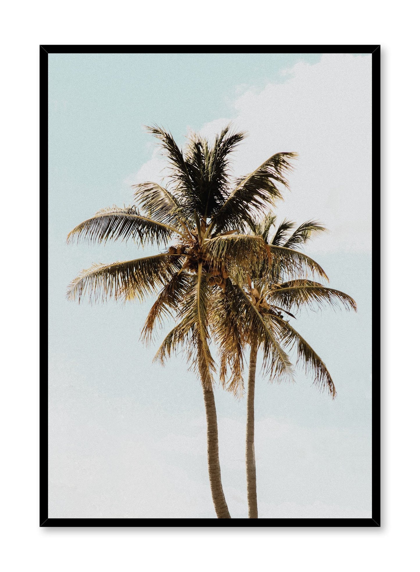 Sunny Palms, Poster