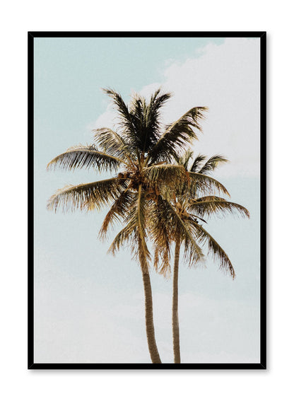 Sunny Palms, Poster