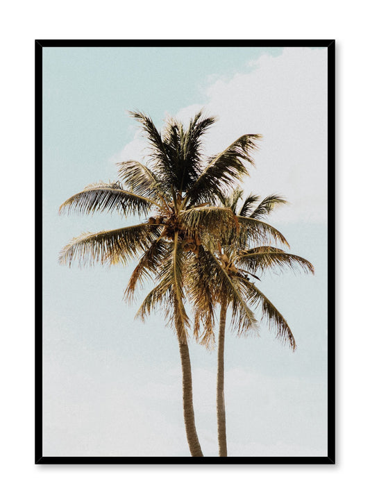 Sunny Palms, Poster