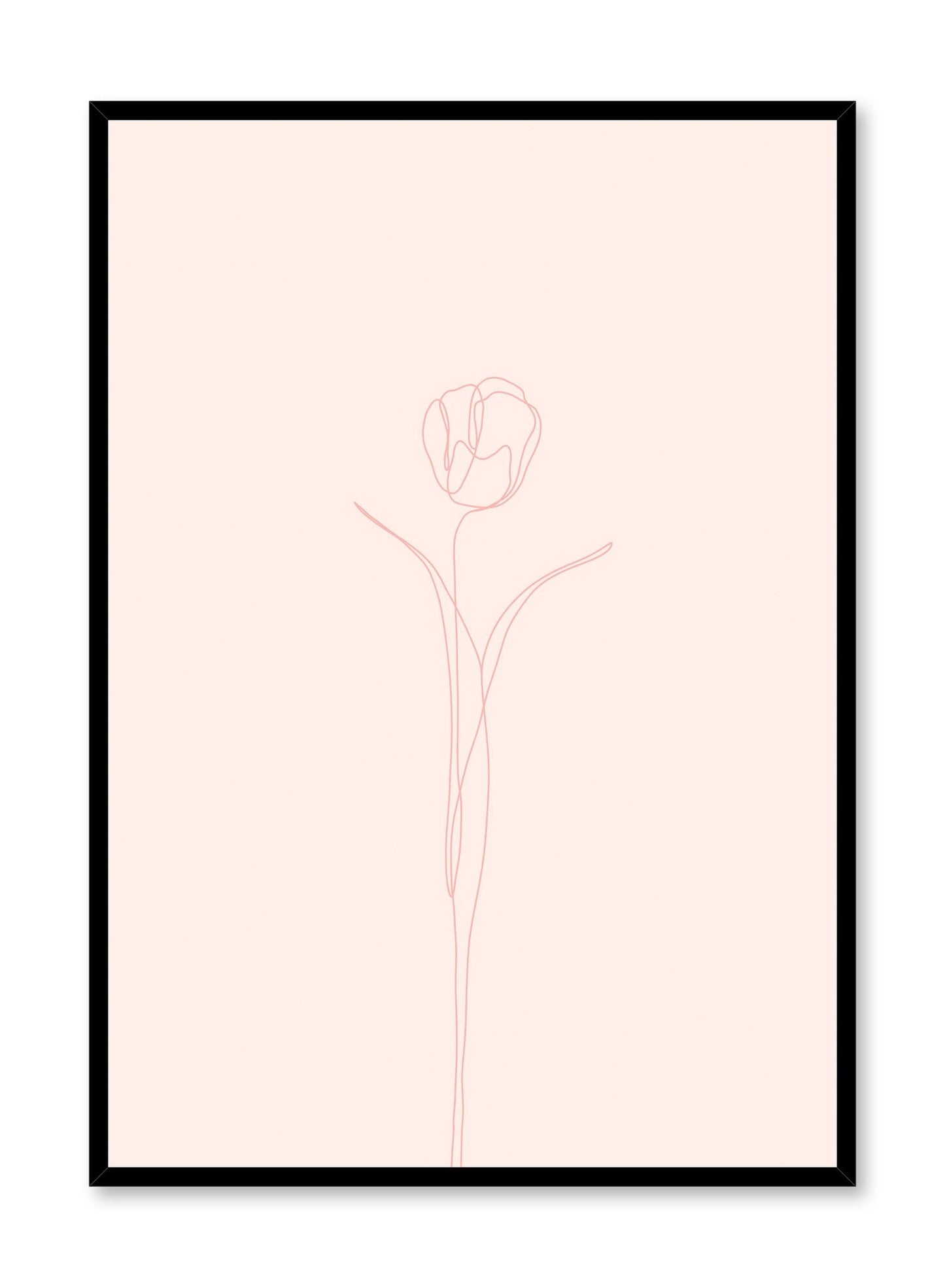 Tulip in Pink, Poster