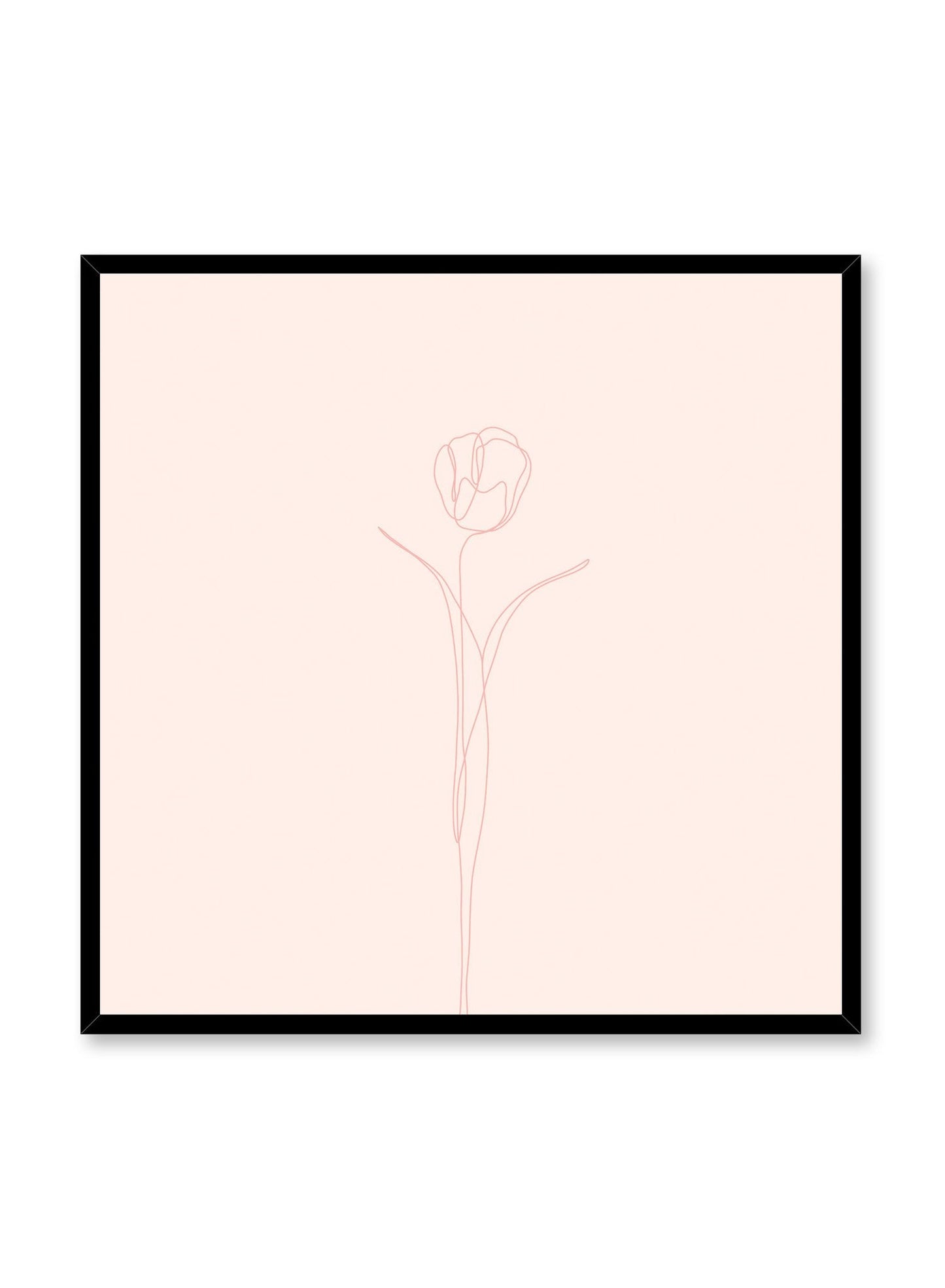 Tulip in Pink, Poster
