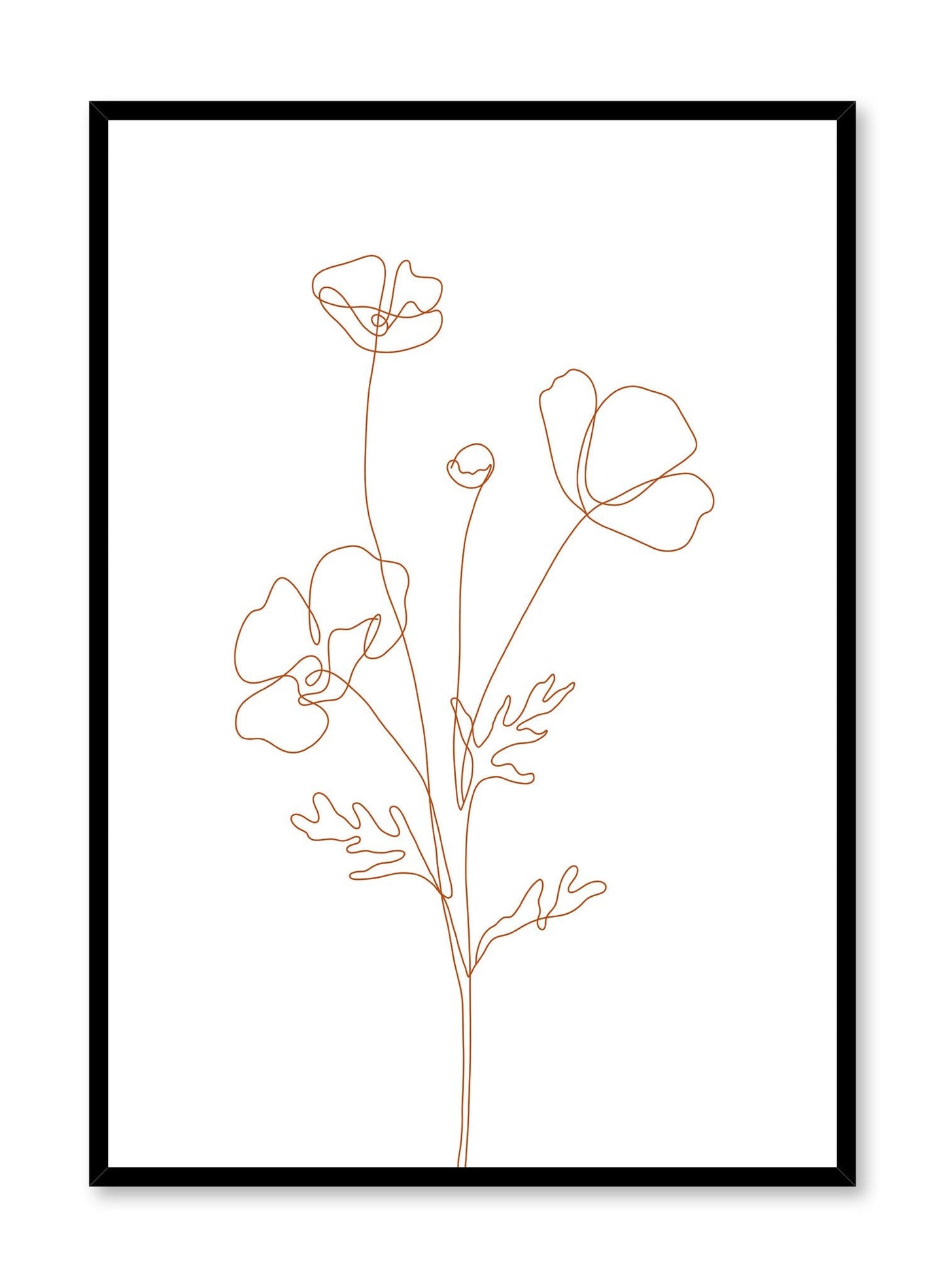 Poppy Sketch with Orange Lines, Poster
