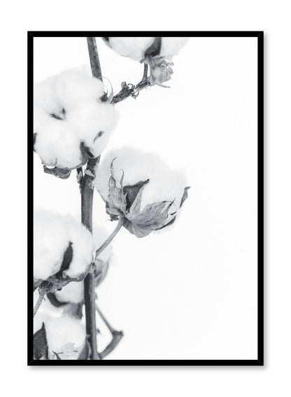 Cotton Clouds in Black and White, Poster