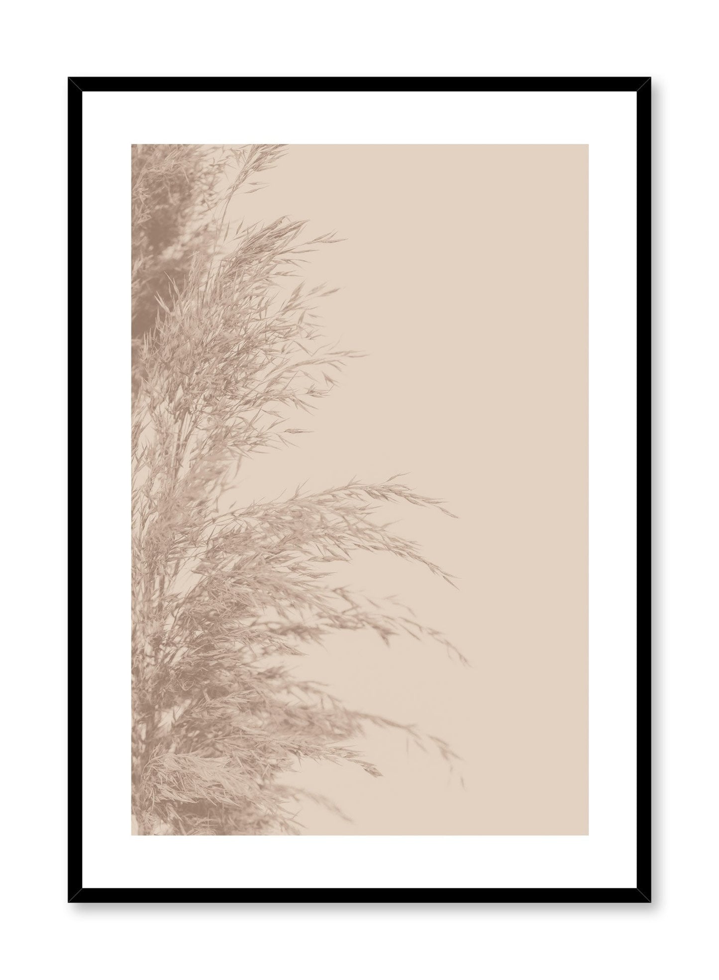 Wispy Grasses in Beige, Poster