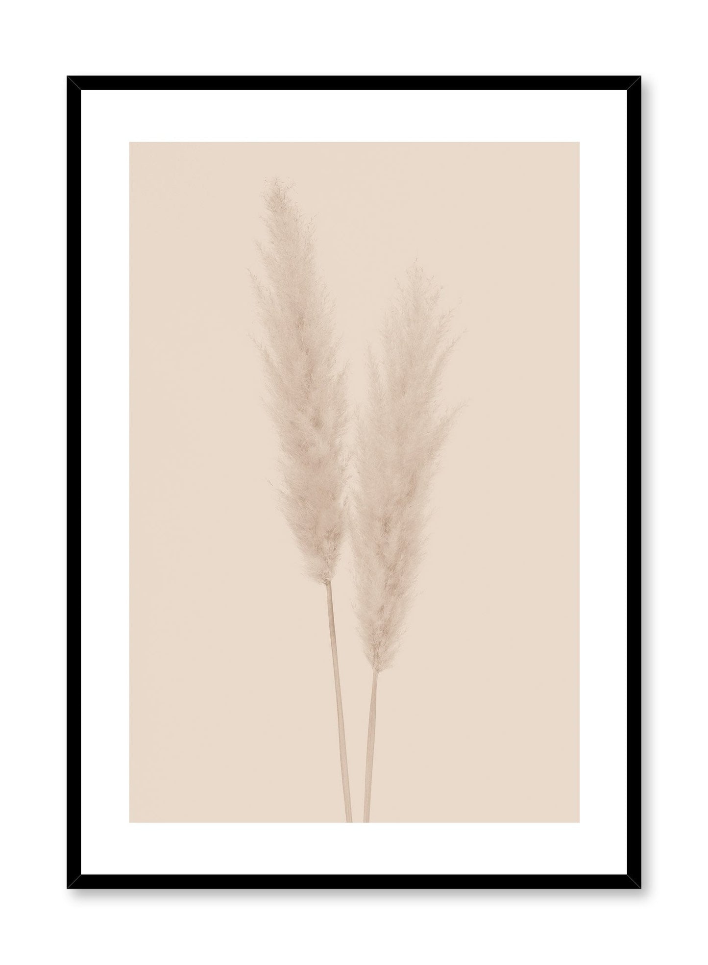 Grasses in Beige, Poster