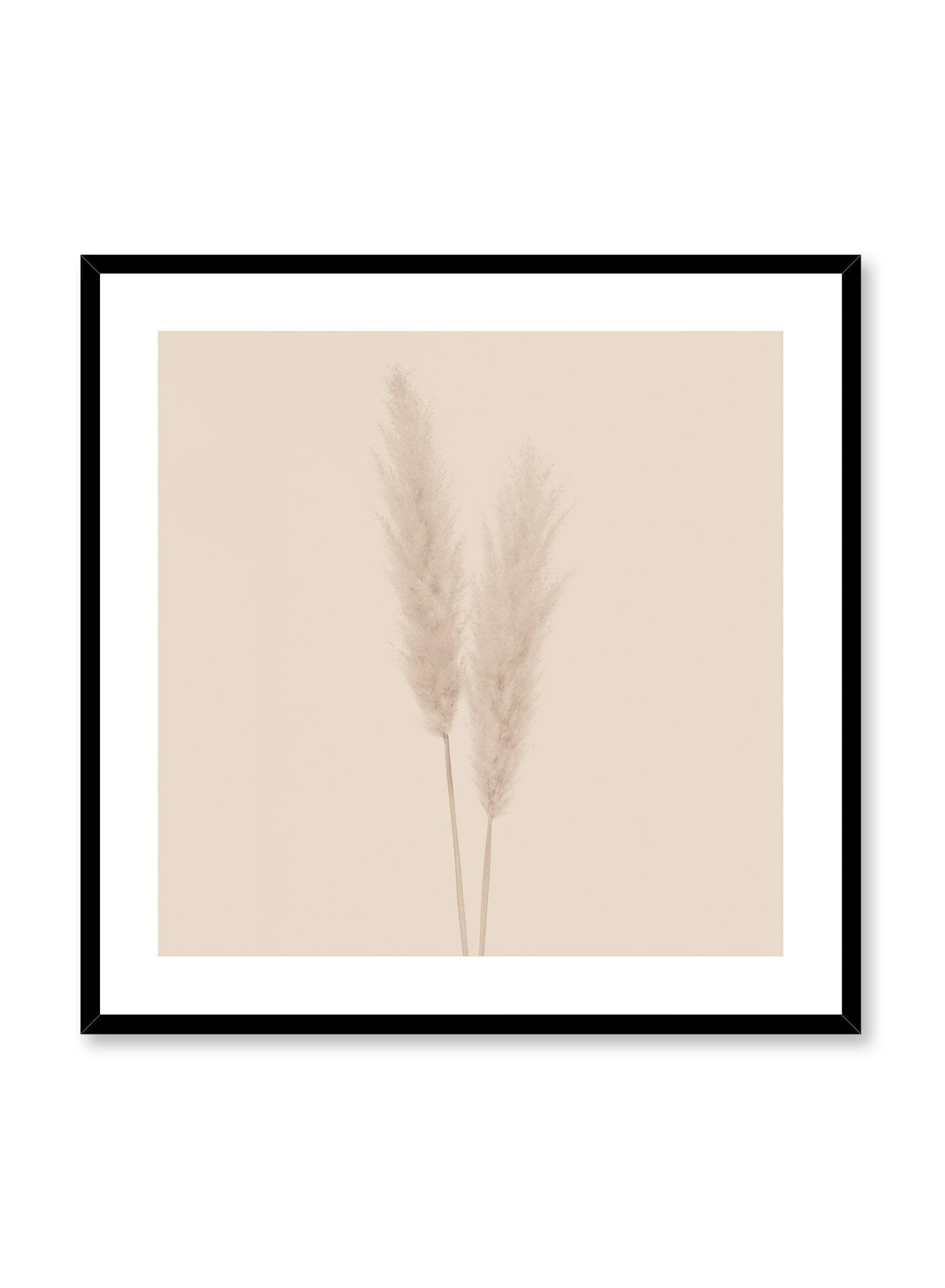 Grasses in Beige, Poster