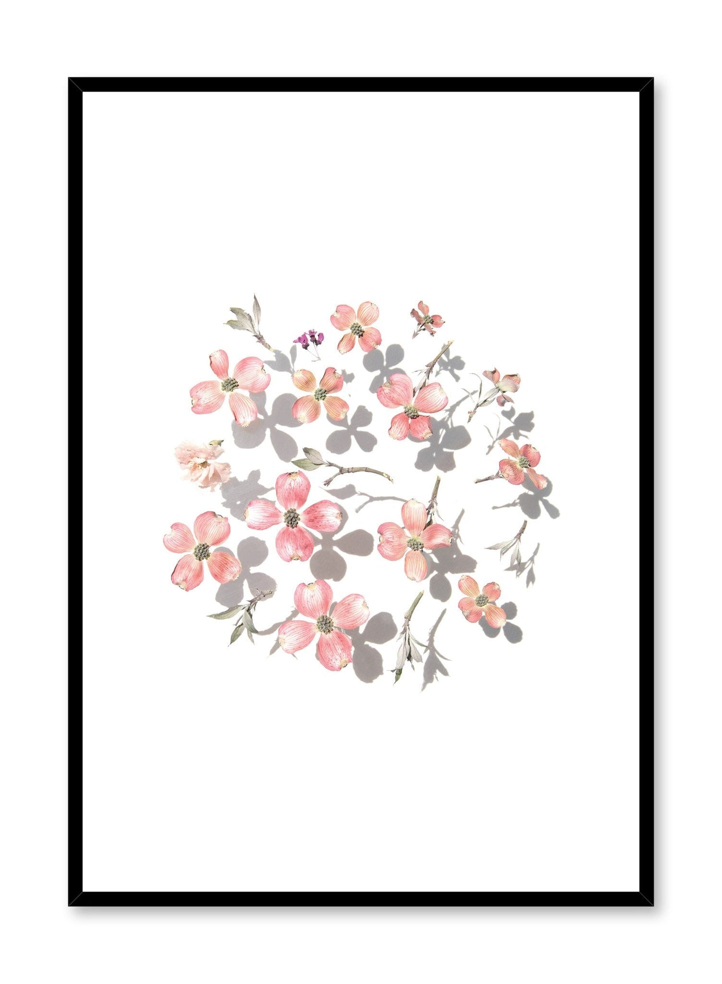 Blooming Shadows, Poster
