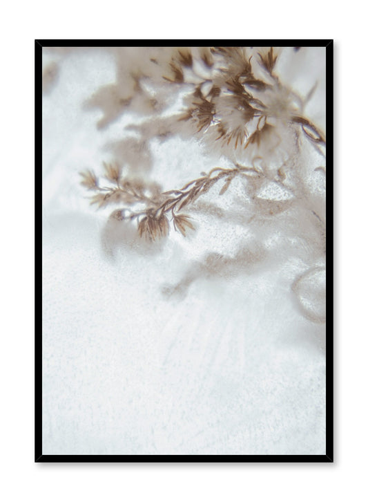Icy Petals, Poster