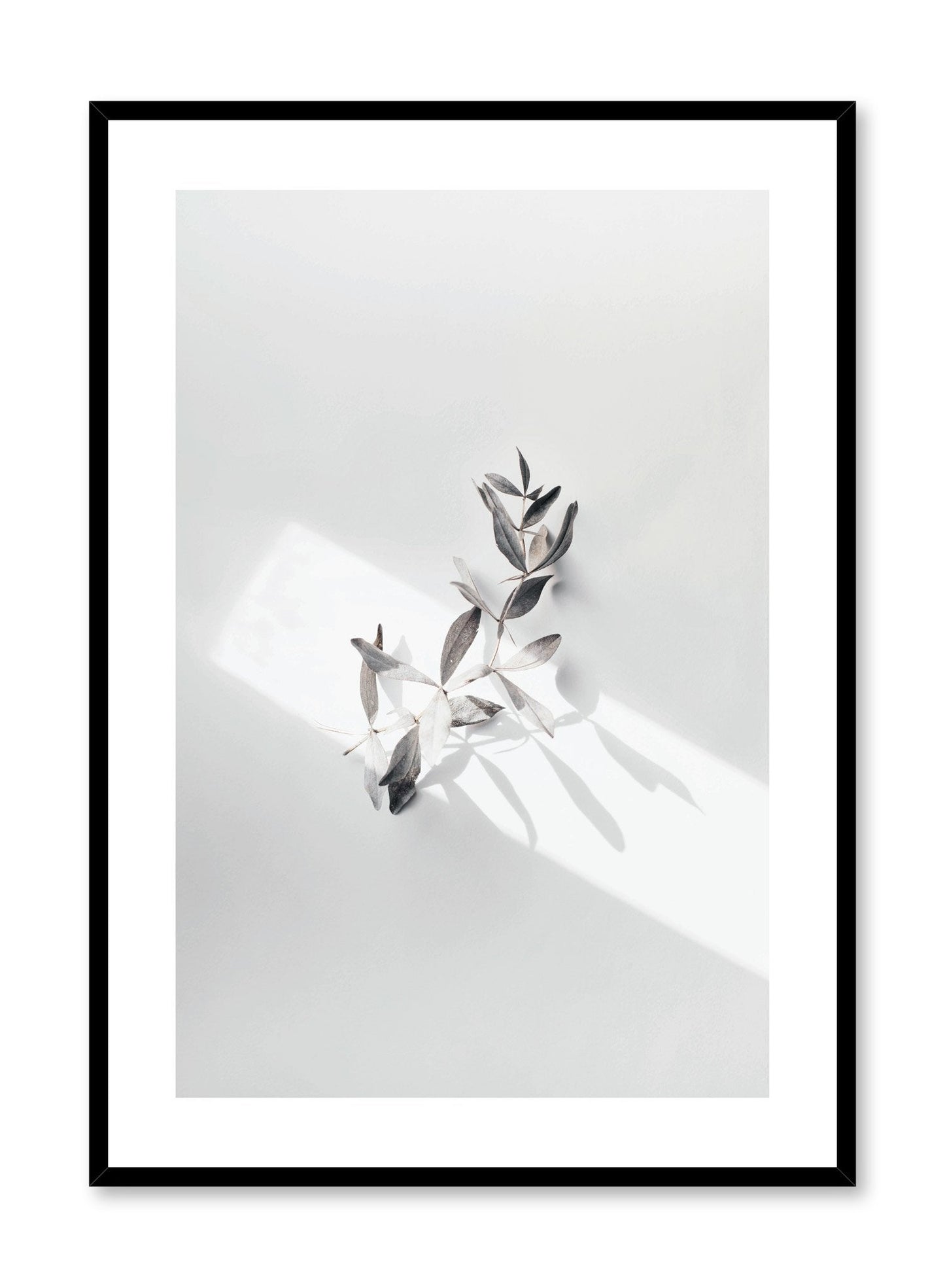 In the Spotlight, Poster
