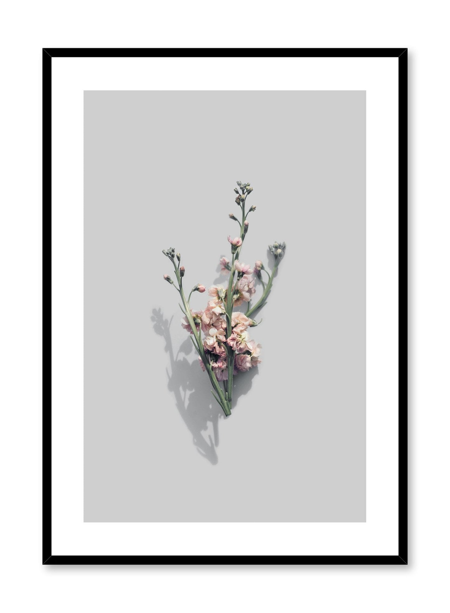 Vintage Blooms, Poster