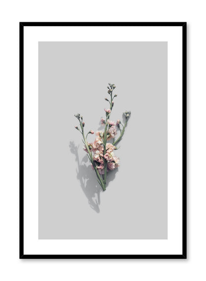 Vintage Blooms, Poster