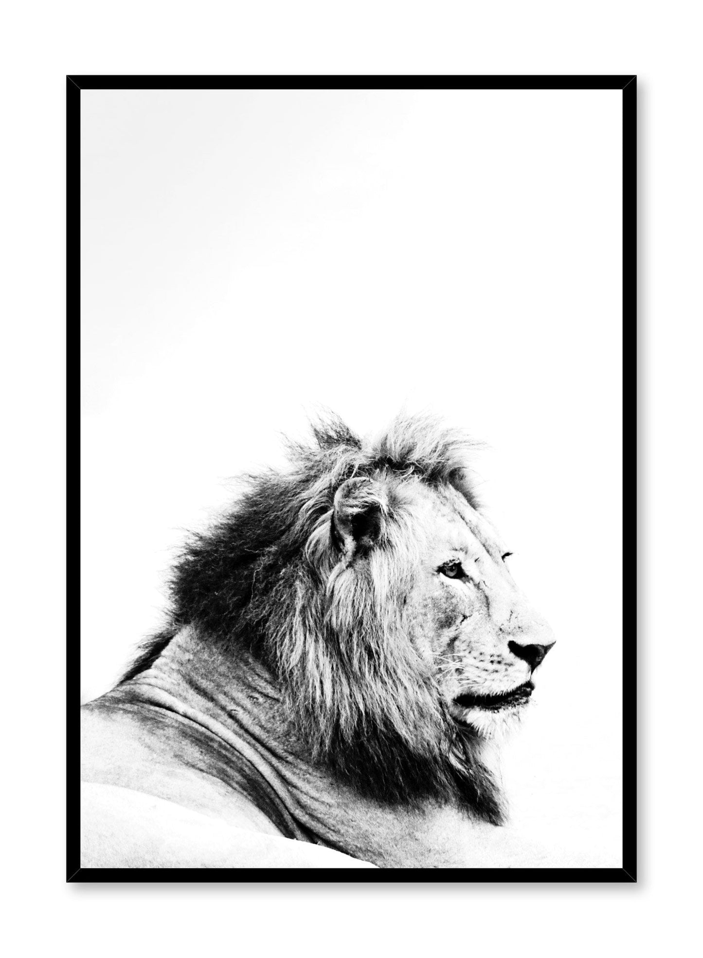 Lion King, Poster