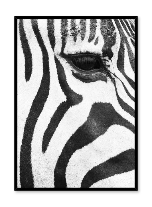 Zebra, Poster