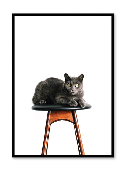 Feline Portrait, Poster
