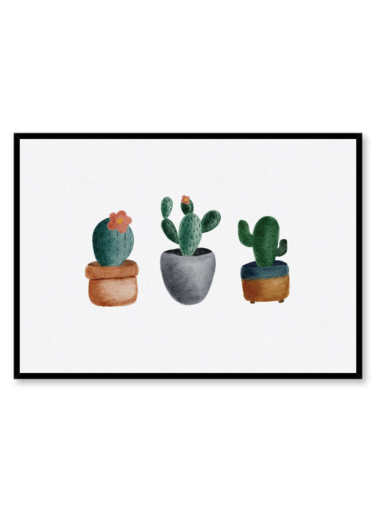 Trio of Succulents, Poster