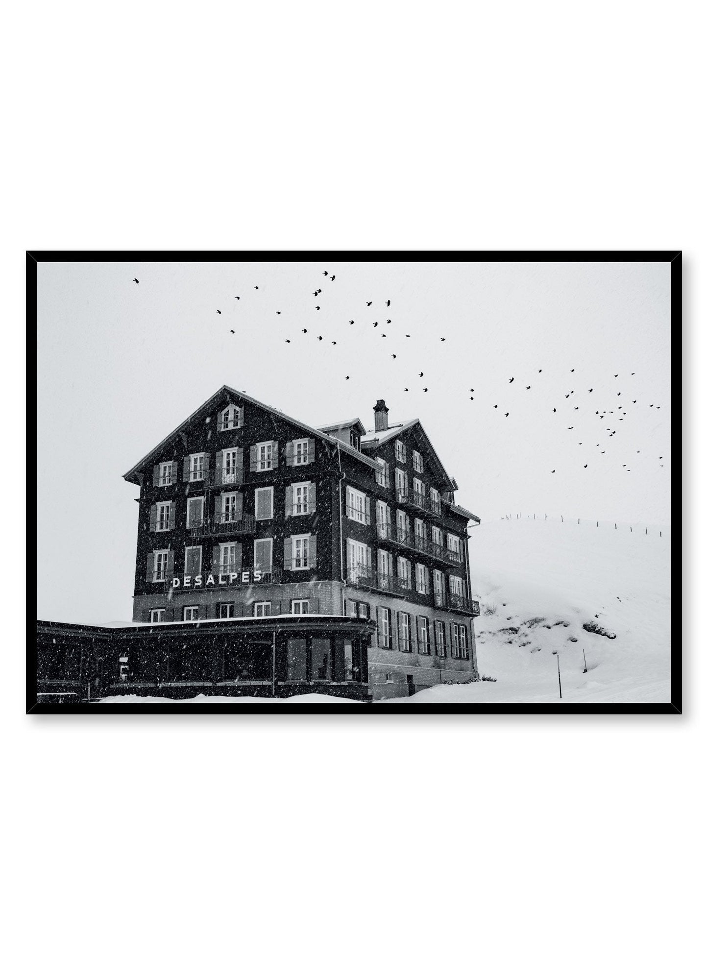 The Chalet, Poster