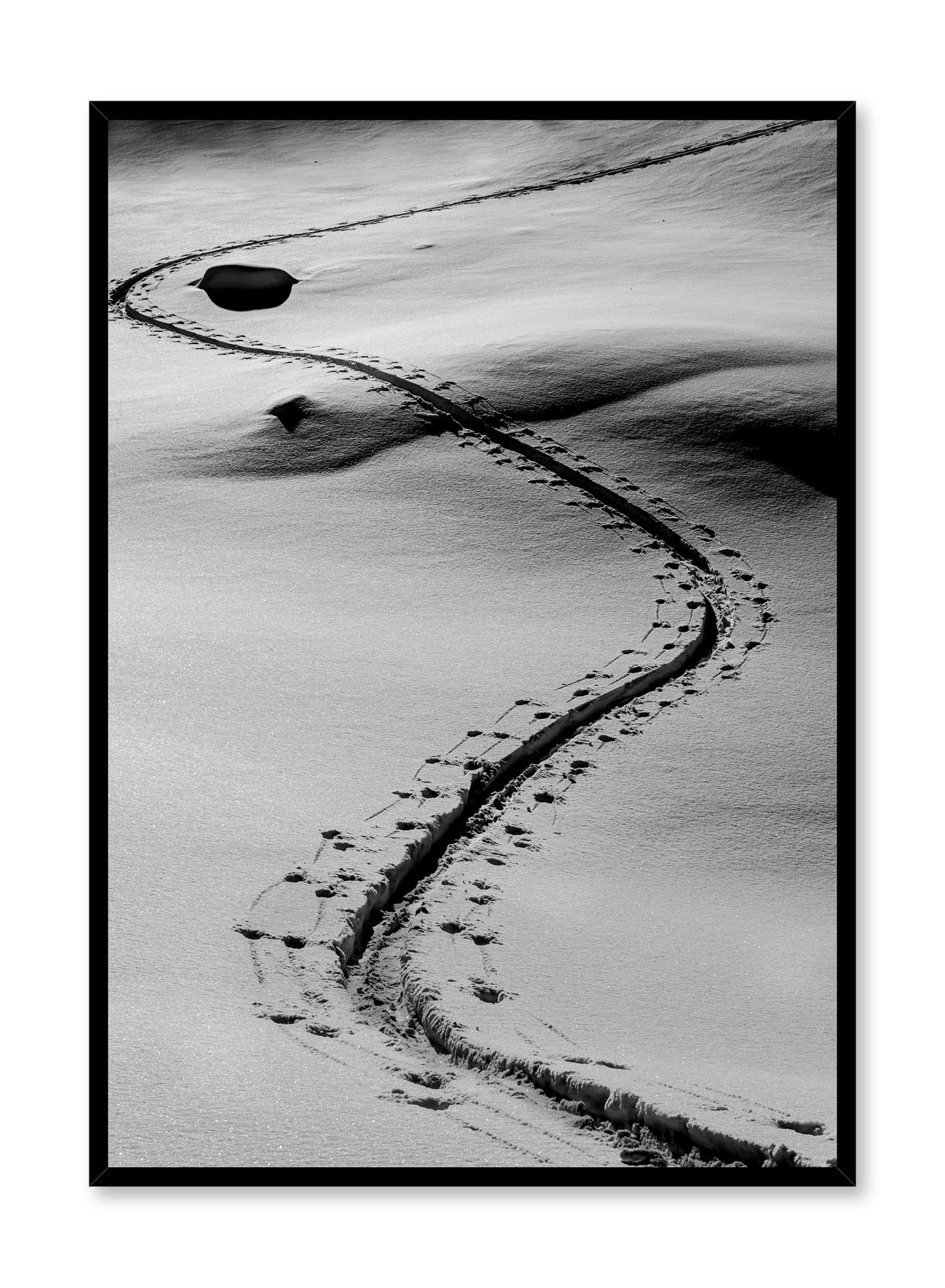 Snow Tracks, Poster