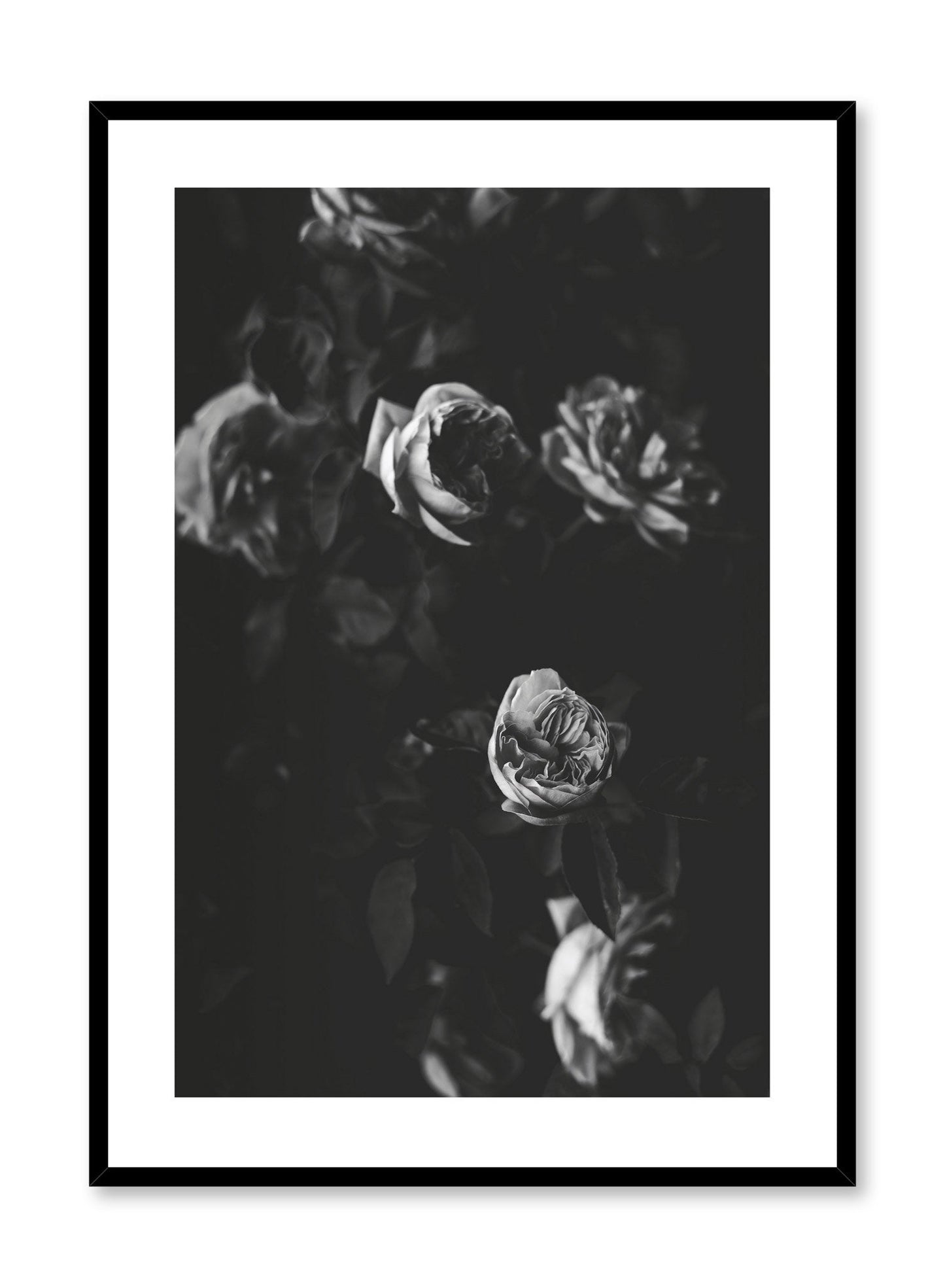 Black & Rose Movie, Poster