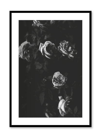 Black & Rose Movie, Poster