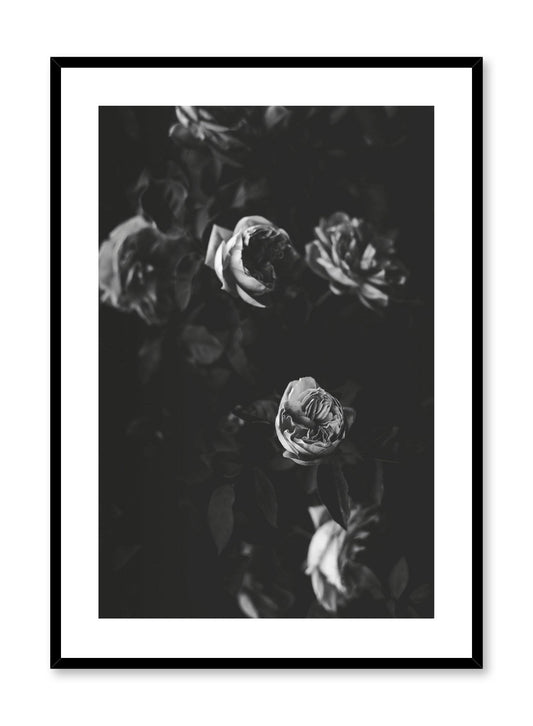 Black & Rose Movie, Poster