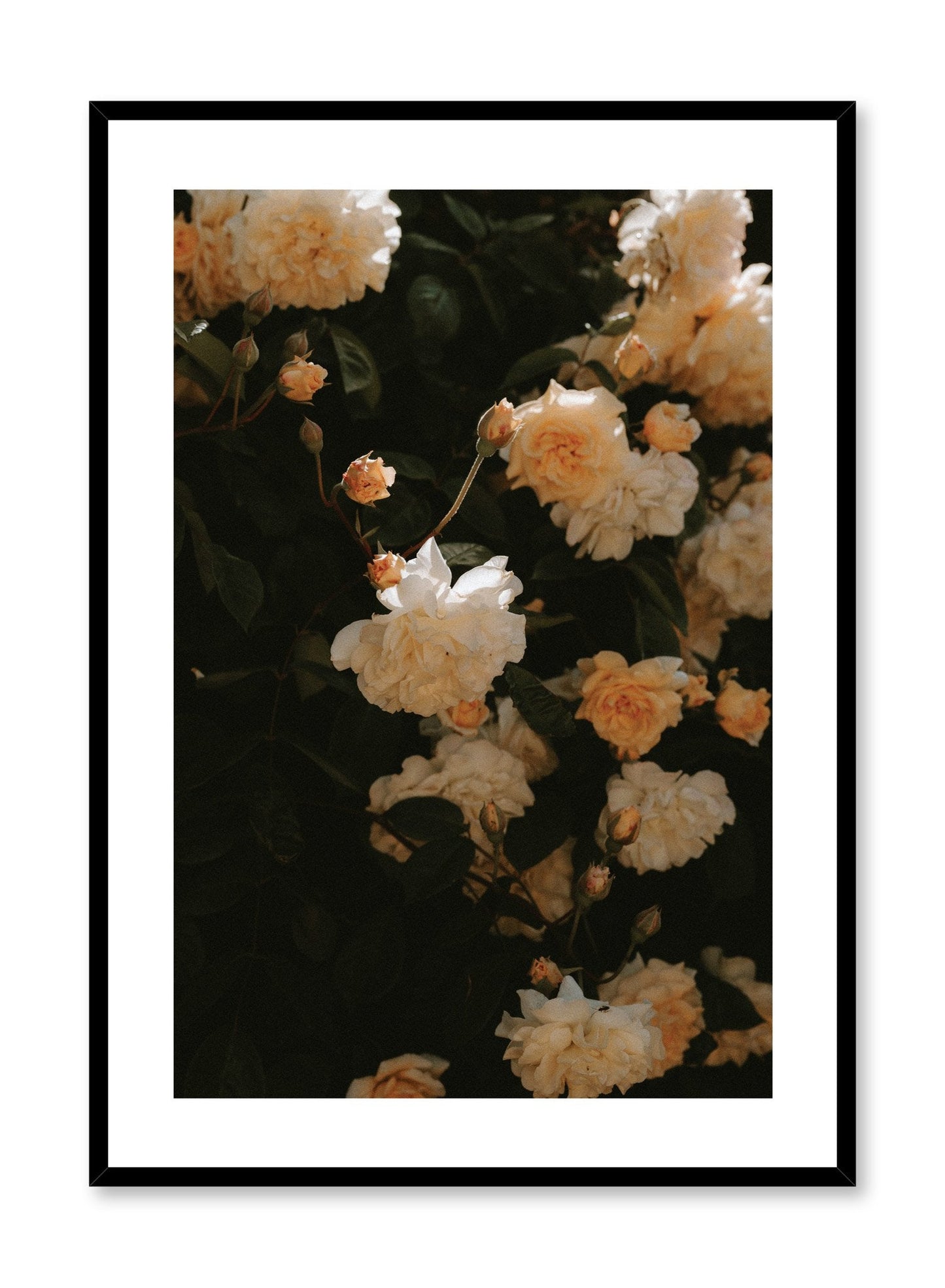 Sun-Kissed Flowers, Poster
