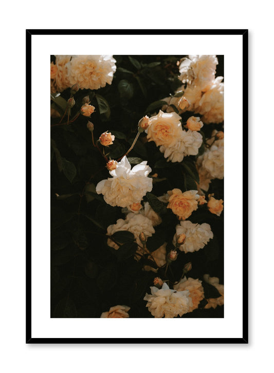 Sun-Kissed Flowers, Poster
