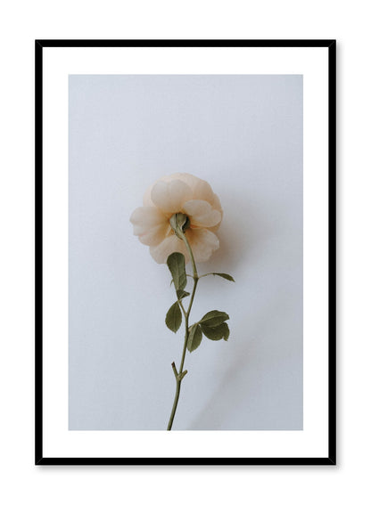 Floral Romance, Poster