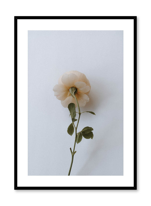 Floral Romance, Poster