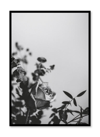 Romantic Rose, Poster