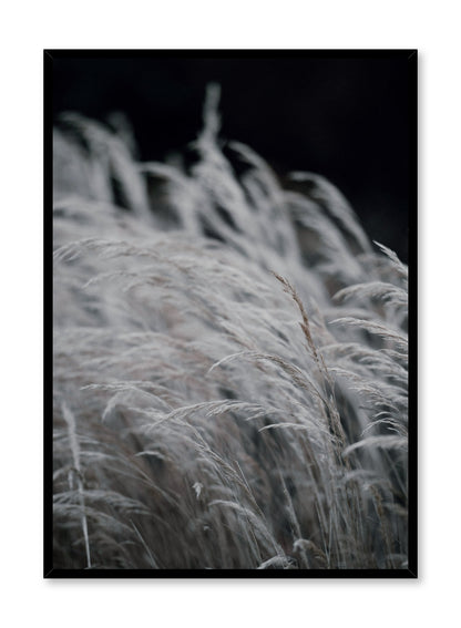 Wintry Prairie, Poster