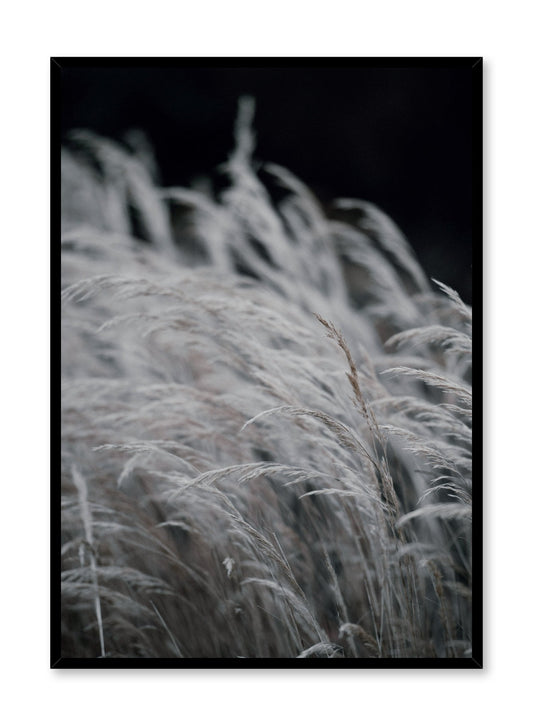 Wintry Prairie, Poster