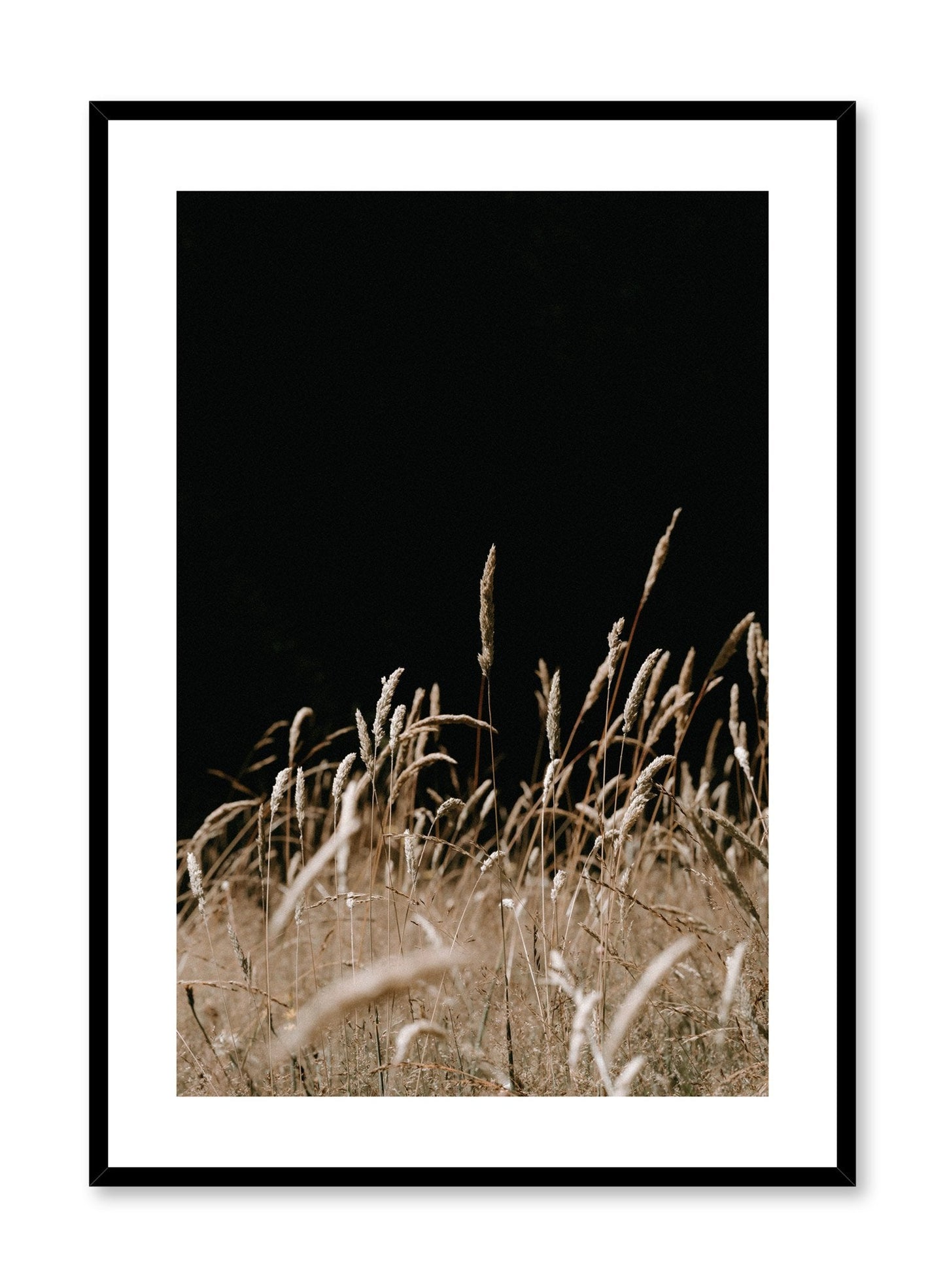 A Night in the Field, Poster