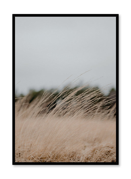 Autumn Breeze, Poster