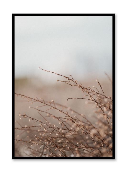 Burgeoning Branches, Poster