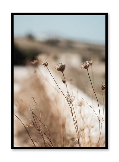 Forest Bloom, Poster