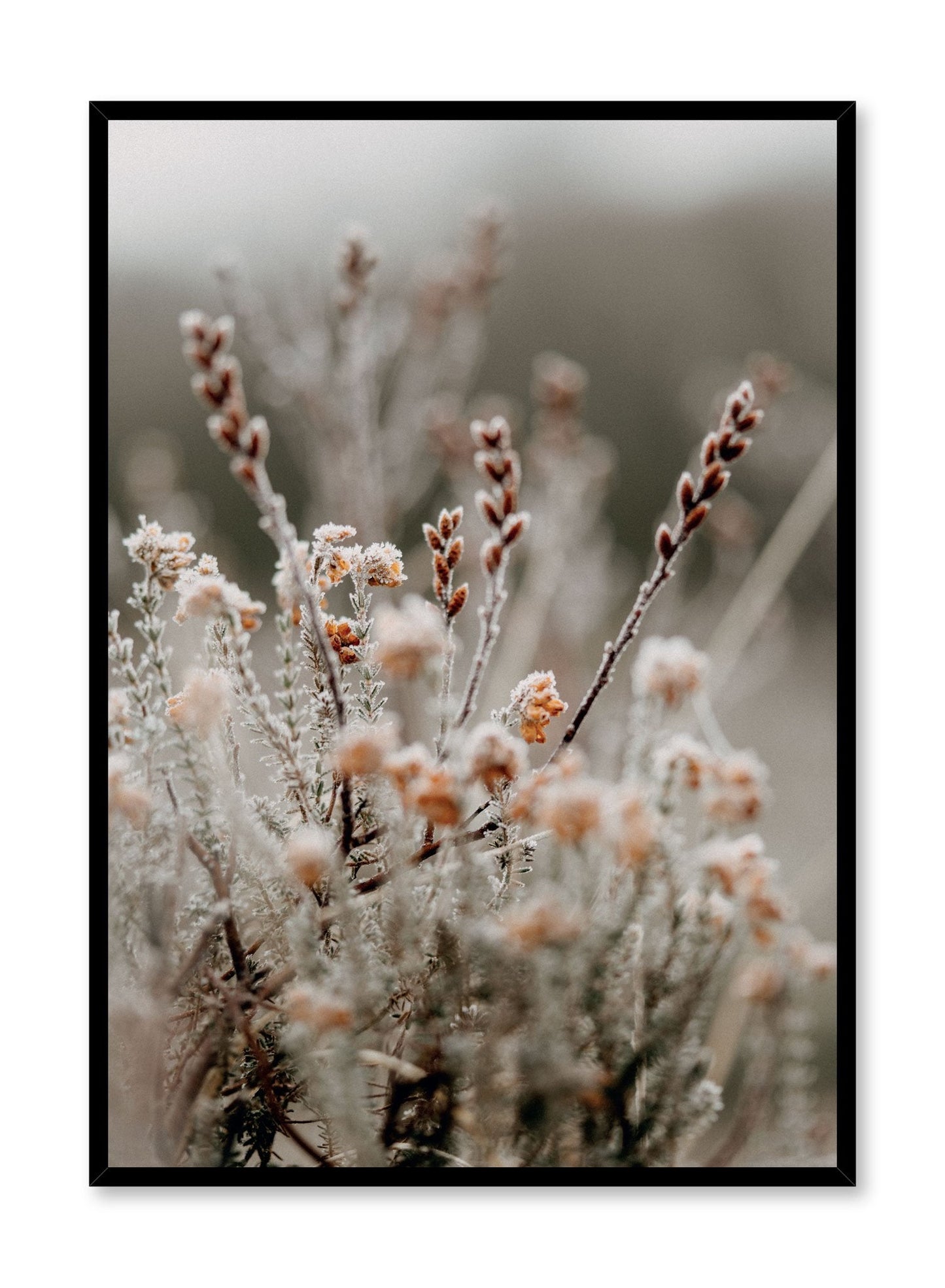 Crisp Blossom, Poster