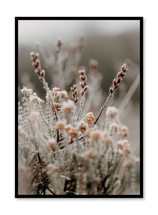 Crisp Blossom, Poster