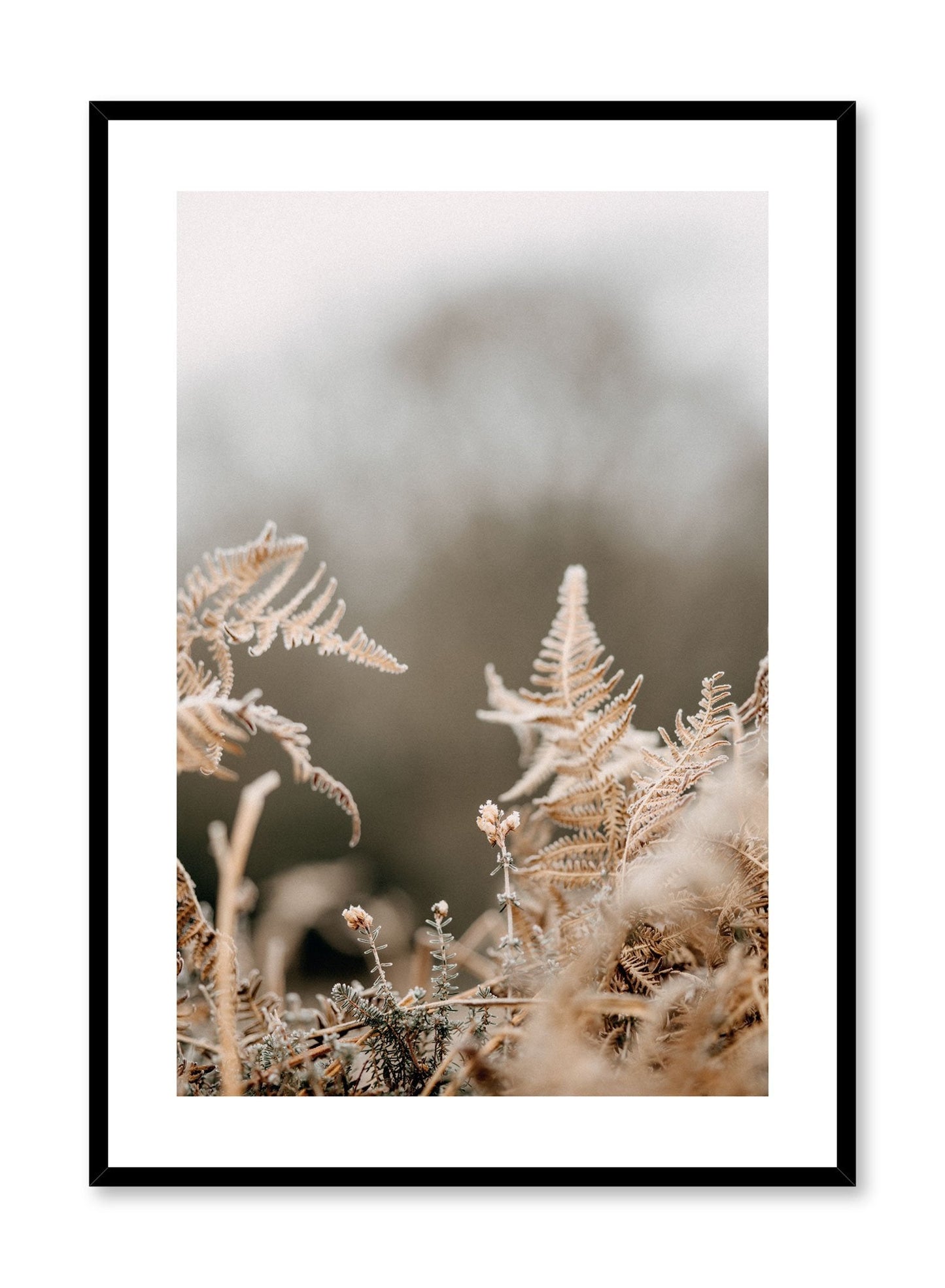 Chilly Conifer, Poster