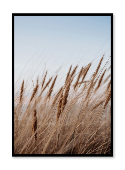 Prairie Feathers, Poster