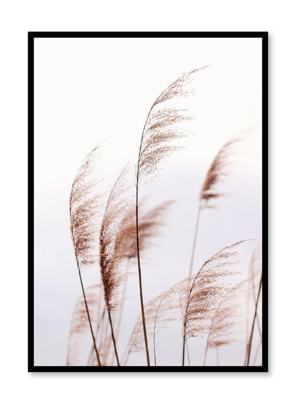 Feathery Grasses, Poster