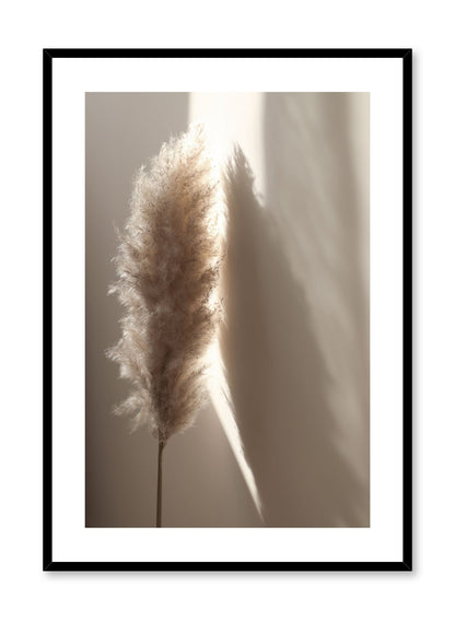 Sunlit Pampas, Poster