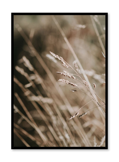 Golden Grasses, Poster