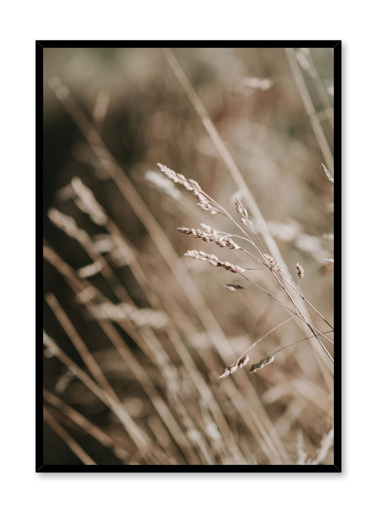 Golden Grasses, Poster