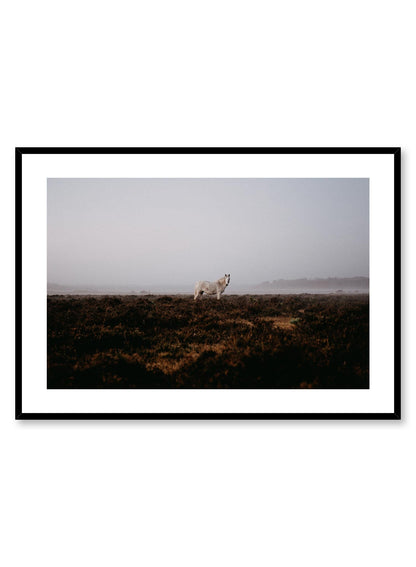 Wild Horse, Poster