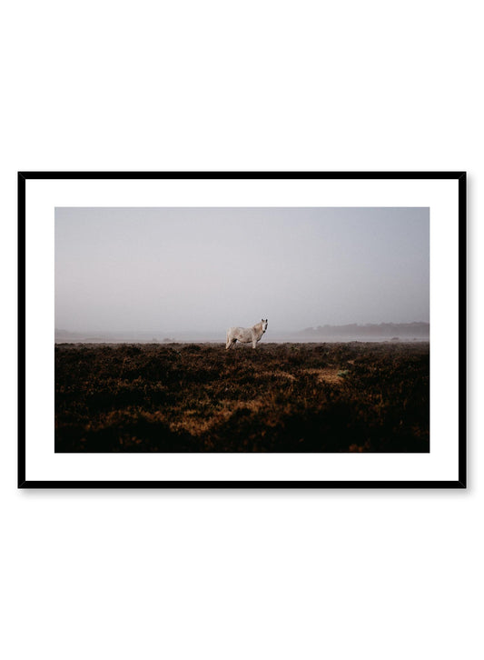 Wild Horse, Poster