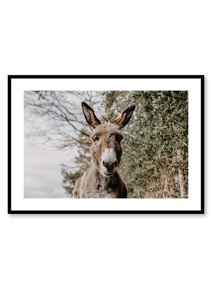 Friendly Donkey, Poster