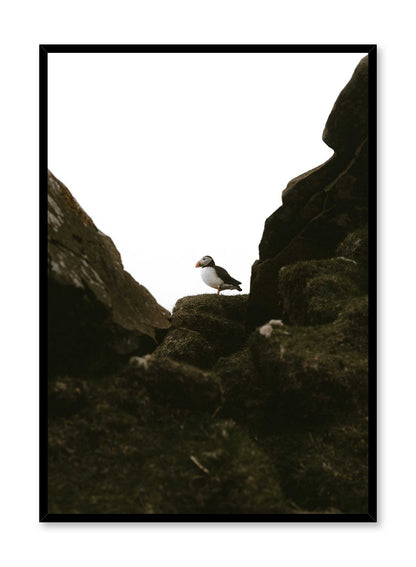 Puffin Portrait, Poster