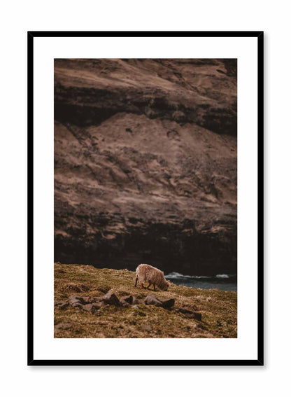 Wandering Sheep, Poster