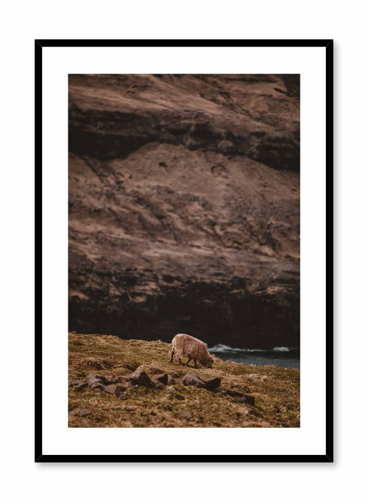 Wandering Sheep, Poster