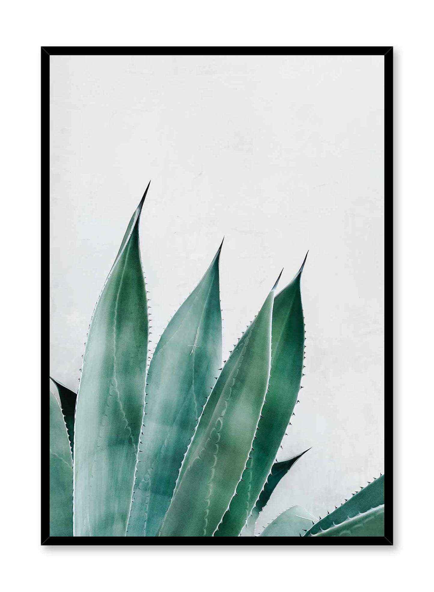 Prickly Leaves, Poster